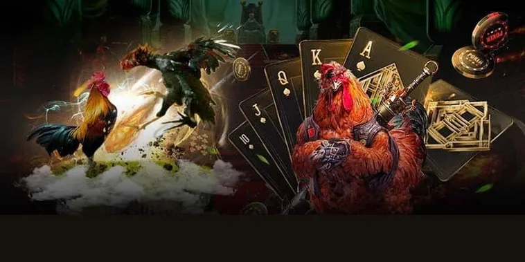 Hướng Dẫn Cách Chơi Đá Gà GA28 Tại Bet69 Dễ Hiểu Cho Người Mới